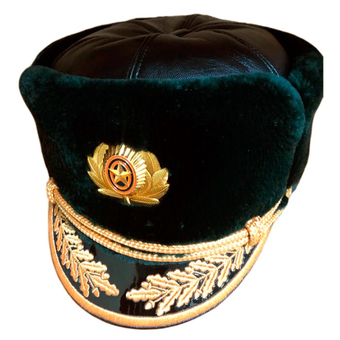 Шапка из бобра, нового образца, верх кожа