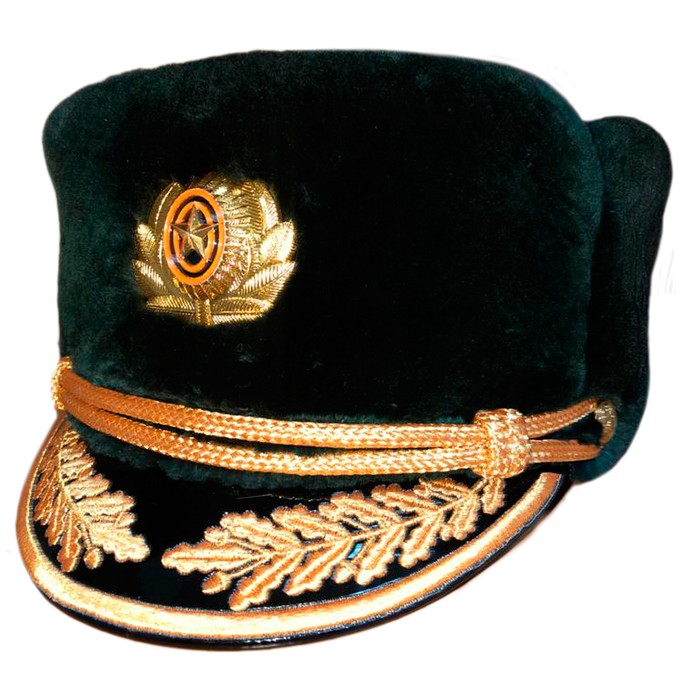 Шапка из бобра, нового образца, верх кожа
