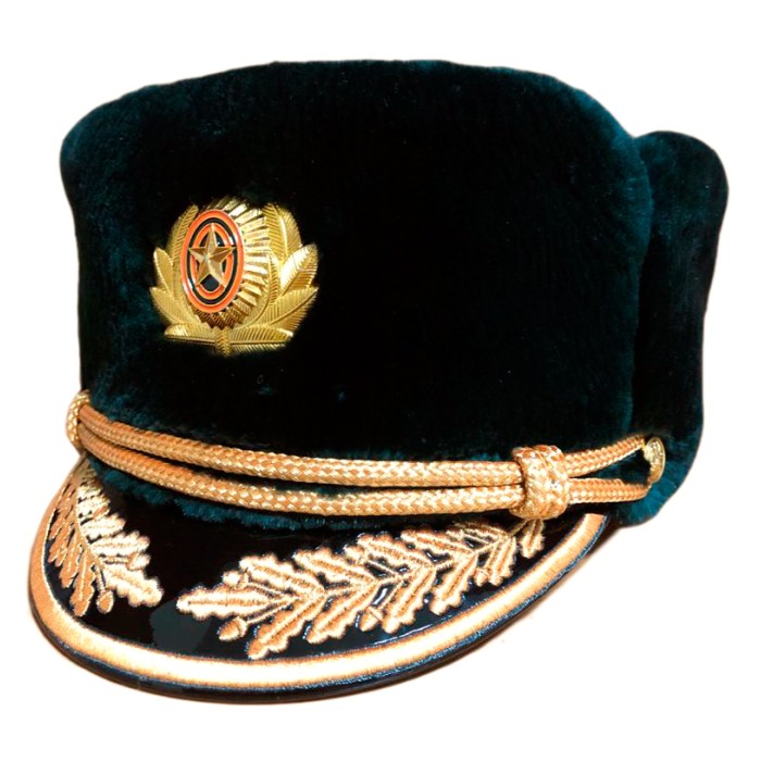 Шапка из бобра, нового образца, верх кожа